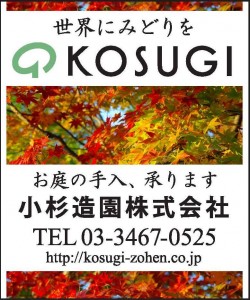 kosugizouen